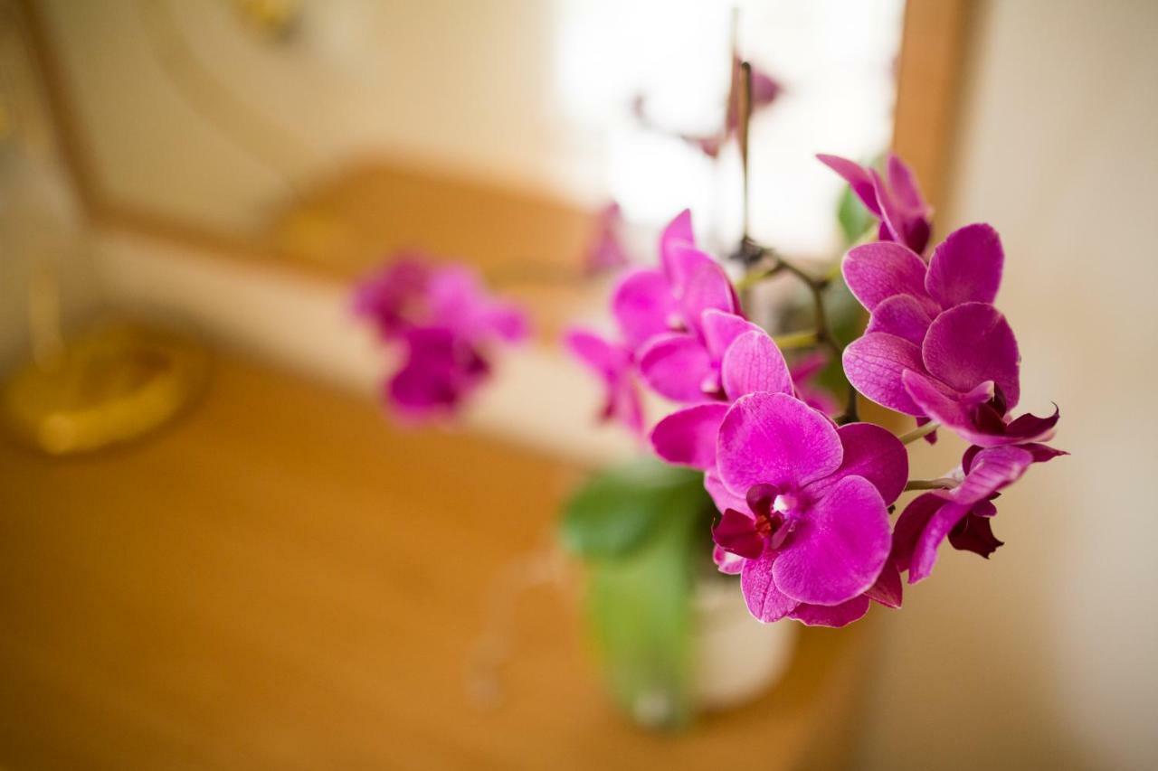 Apartments Villa Majda Матули Екстериор снимка